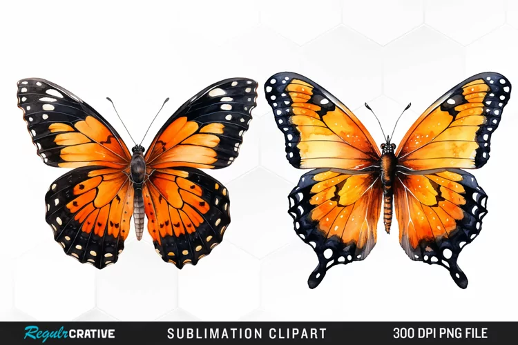 Butterfly Illustration PNG Clipart