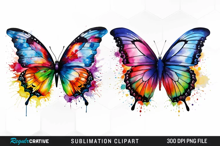 Watercolor Butterfly Exquisite Clipart