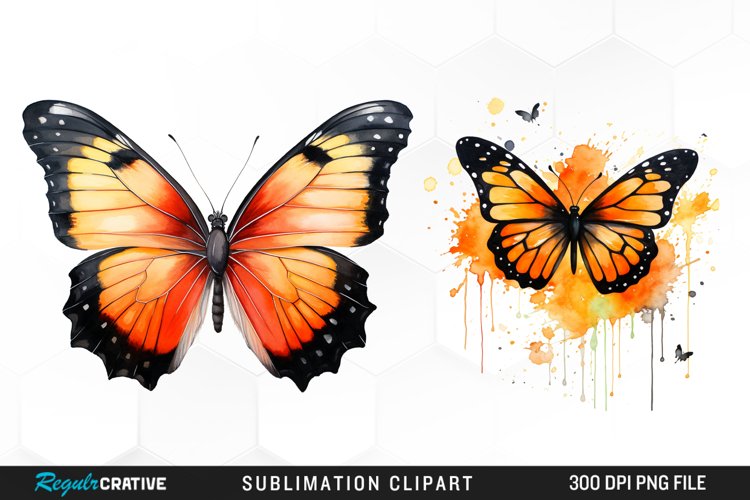 Butterfly Illustration PNG Clipart