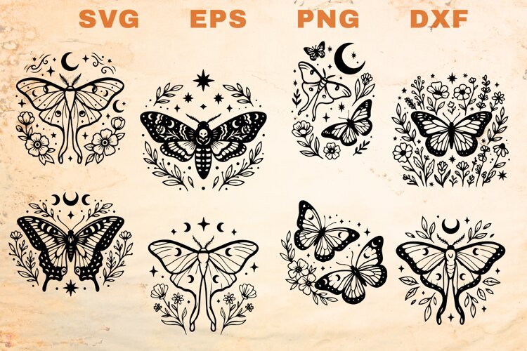Butterflies and Moths SVG example image 1