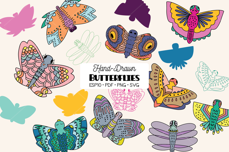 Hand Drawn Colored Butterflies | Moth | Insect | Flying Bugs