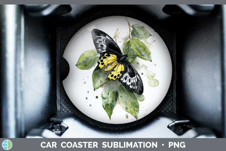 Rajah Brooke Birdwing Butterflies Sketch Car Coaster Sublima