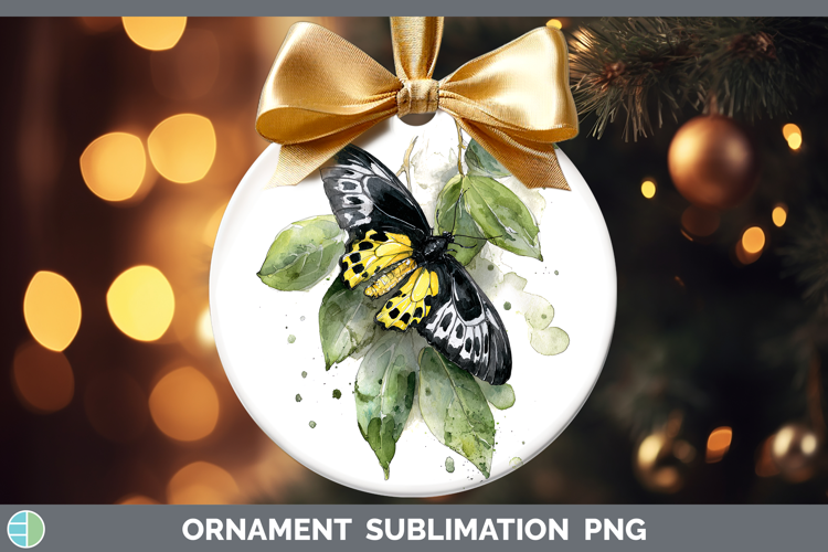 Rajah Brooke Birdwing Butterflies Sketch Ornament Sublimatio