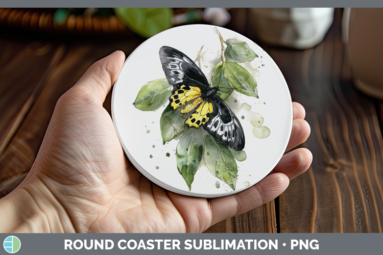 Rajah Brooke Birdwing Butterflies Sketch Round Coaster Subli