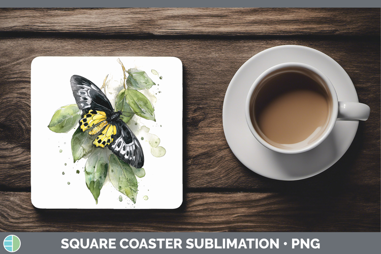 Rajah Brooke Birdwing Butterflies Sketch Square Coaster Subl