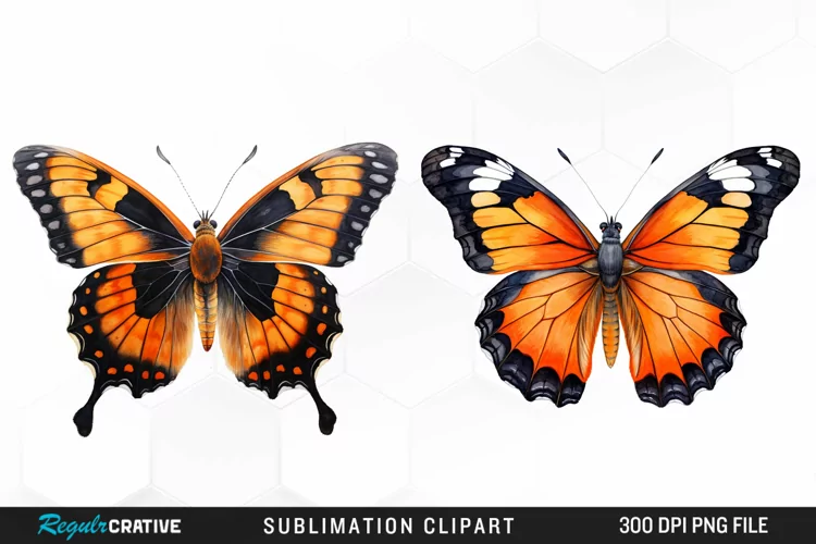 Butterfly Illustration PNG Clipart