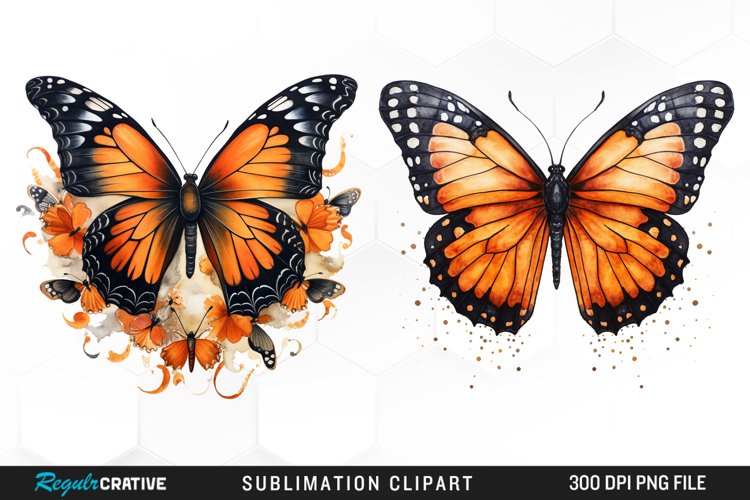 Butterfly Illustration PNG Clipart