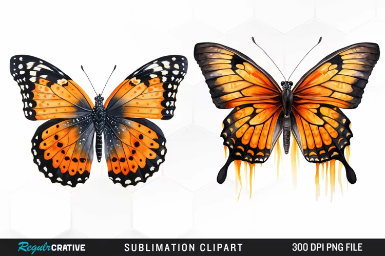 Butterfly Illustration PNG Clipart