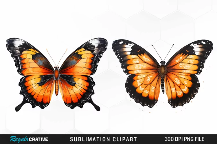 Butterfly Illustration PNG Clipart