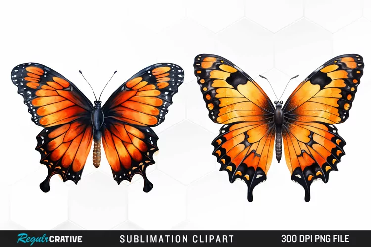 Butterfly Illustration PNG Clipart
