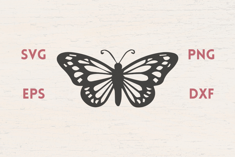 Butterfly SVG