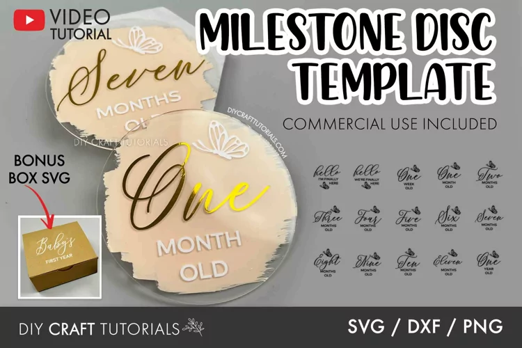 Butterfly Baby Milestone SVG | Monthly Milestone Disc