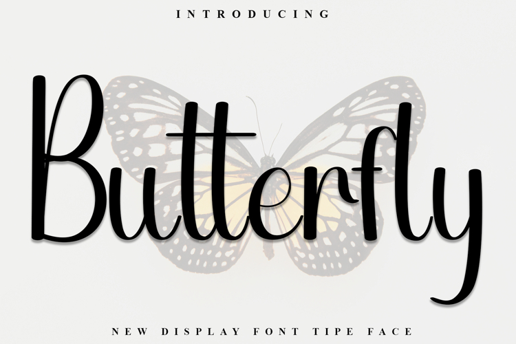 betterfly brush Image 7