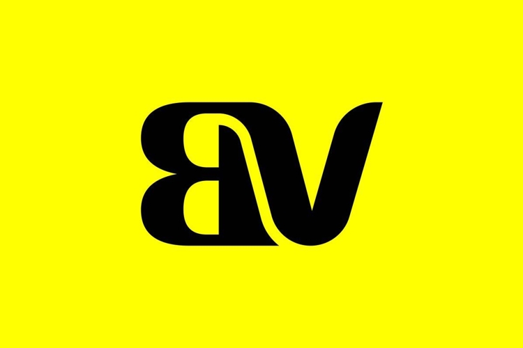 BV Logo Design