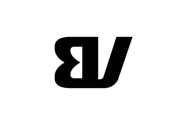 BV Logo Design