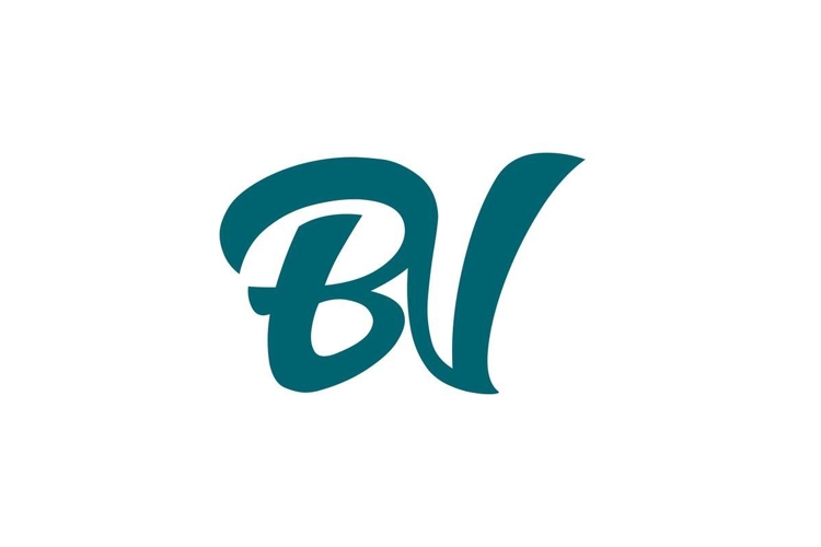 BV Logo Design