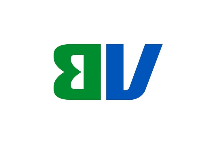 BV Logo Design