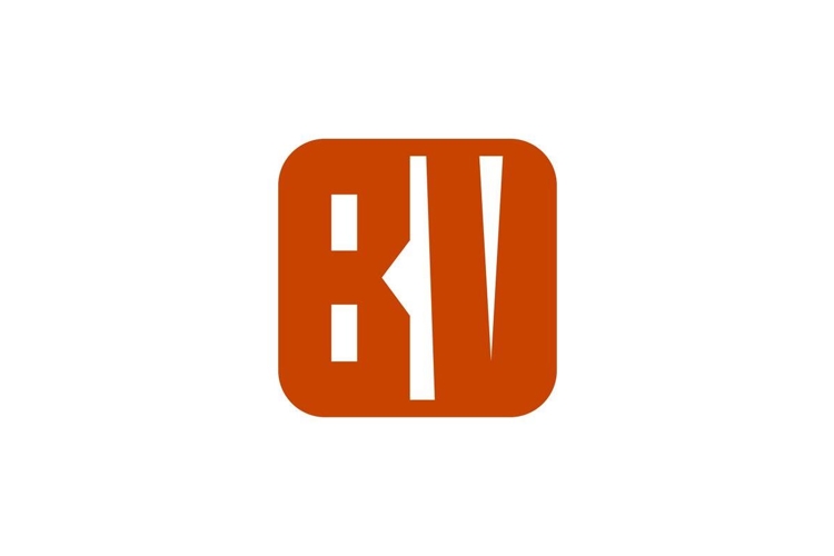 BV Logo Design