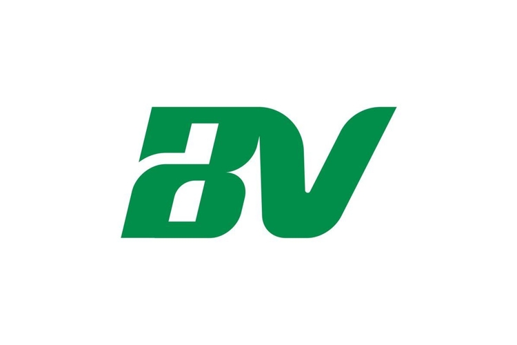 BV Logo Design