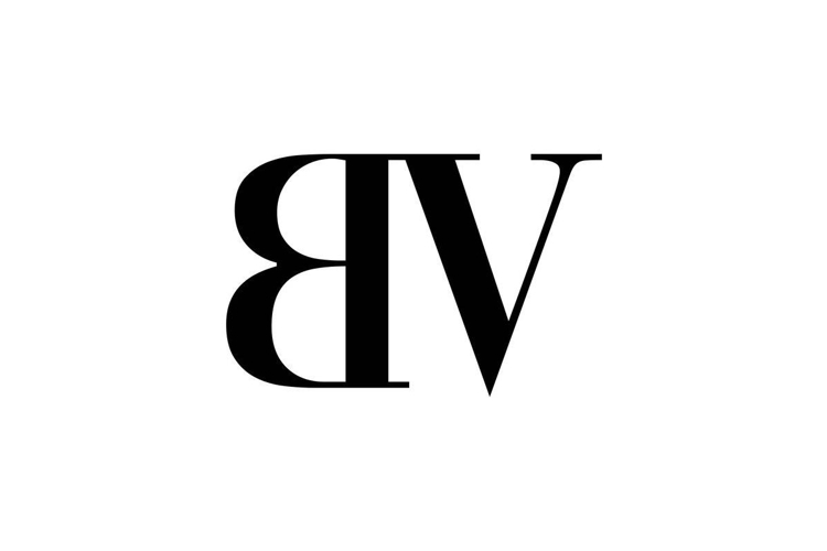 BV Logo Design