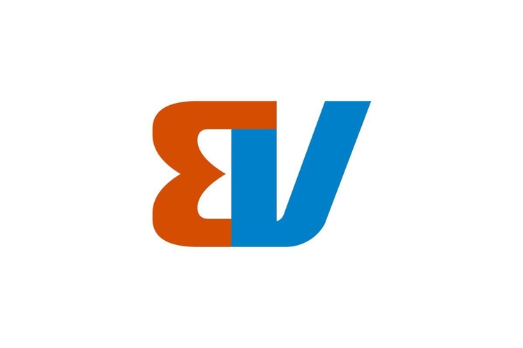 BV Logo Design