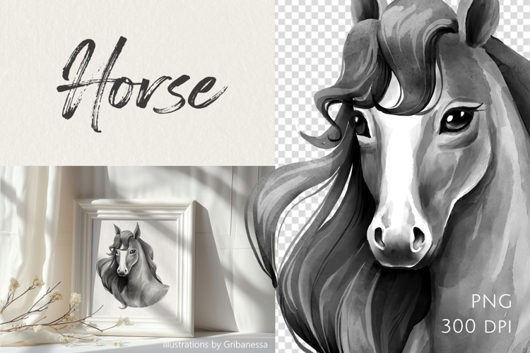 Black and White Horse Portrait PNG