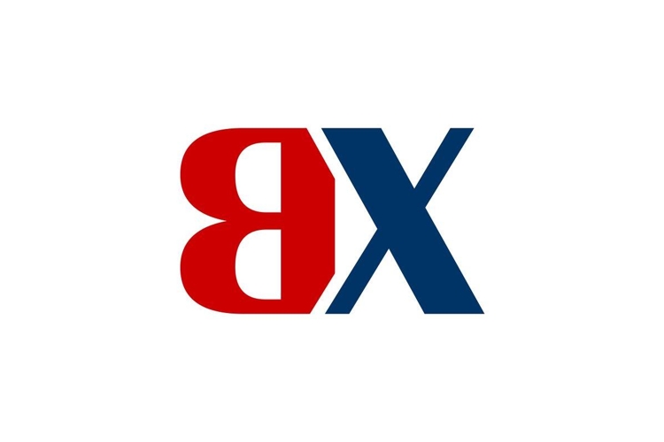 BX Logo Design
