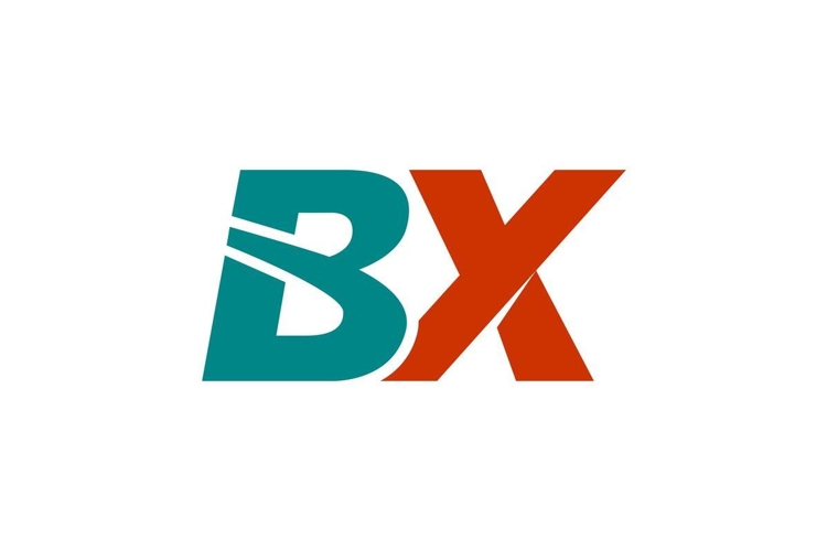BX Logo Design