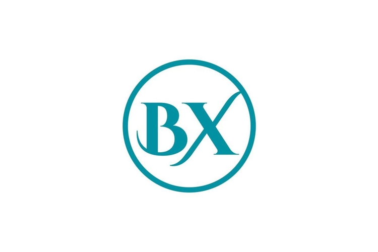 BX Logo Design