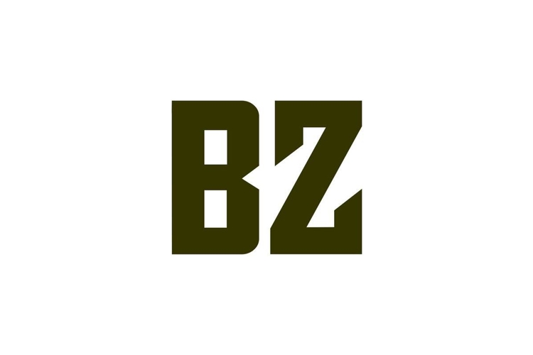 BZ Logo Design