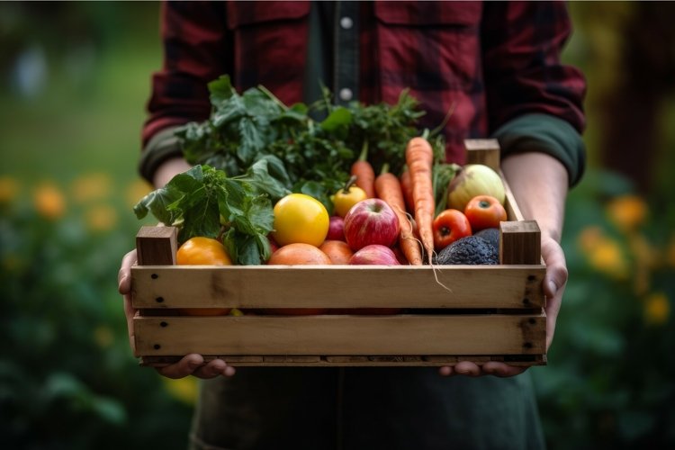 Vegetable Garden Clipart Image 6
