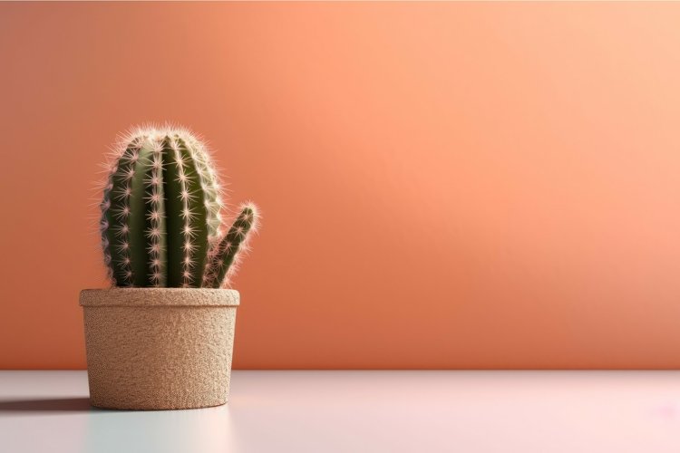 Cactus mockup background. Generate Ai example image 1