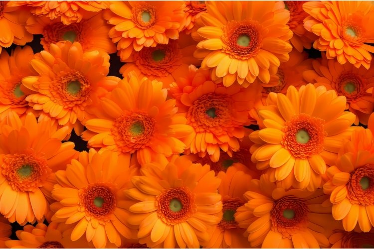 Calendula flowers background. Generate Ai