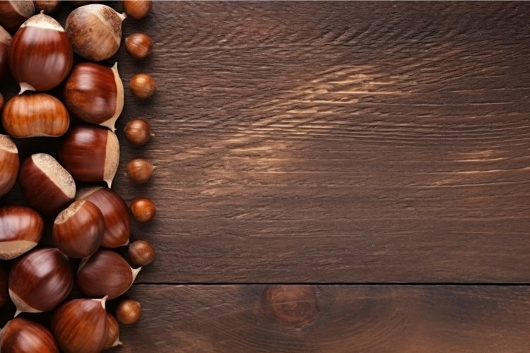 Seed Clipart Image 6