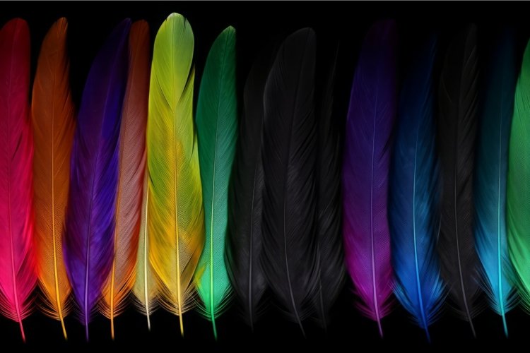 Feather Clipart Image 10