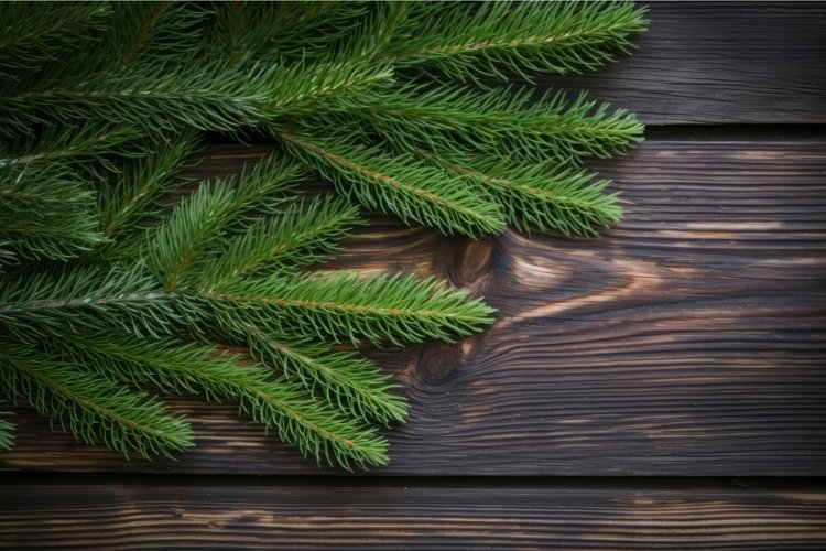 Wood Backgrounds Image 16