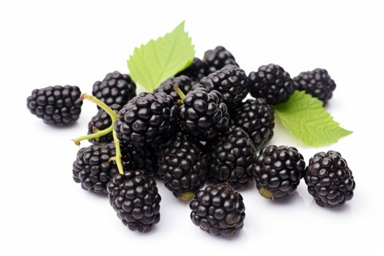 Food Clipart Image 18