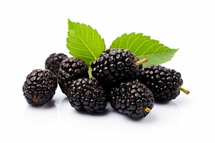 Food Clipart Image 19