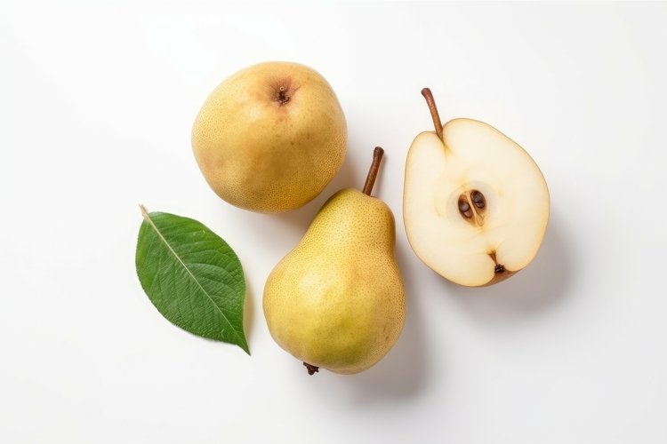 Pear Clipart Image 14