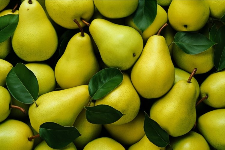 Pear Clipart Image 16