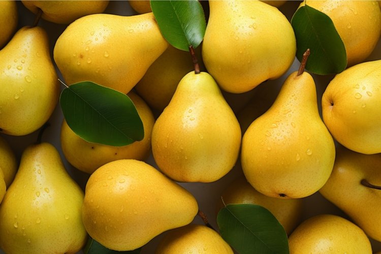 Pear Clipart Image 15