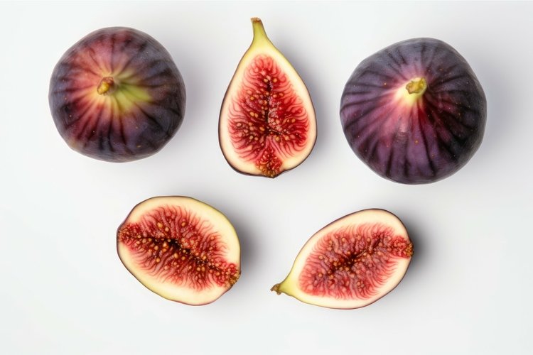 Seed Clipart Image 4