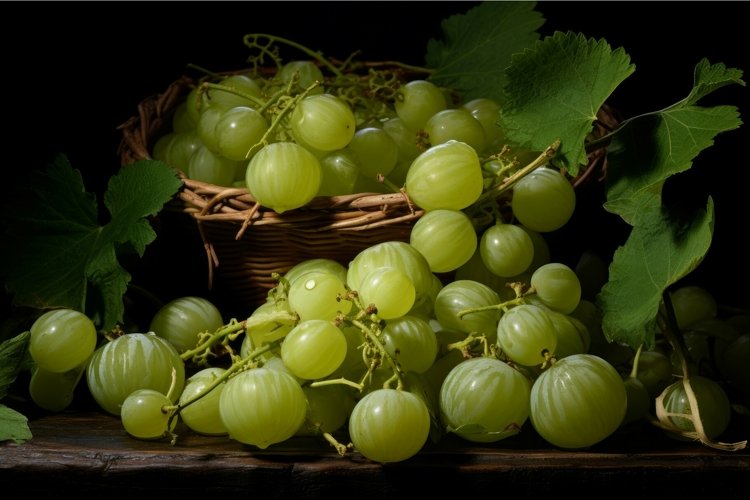Water Background Image 17