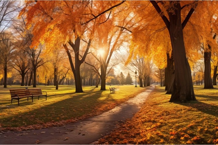 Nature Clipart Image 23