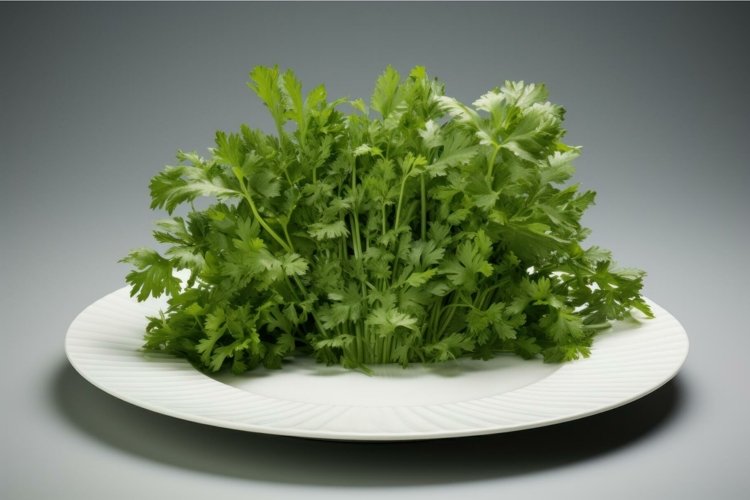 Plate Clipart Image 8