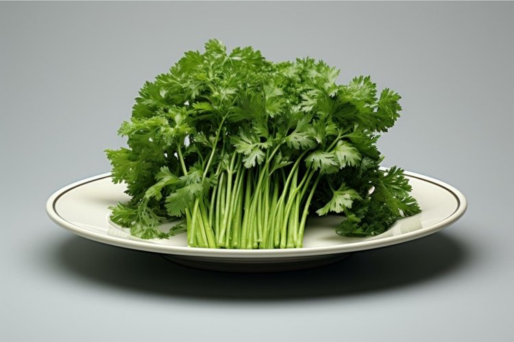 Plate Clipart Image 12
