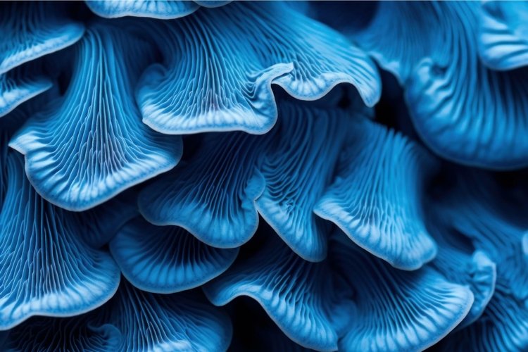 Water Background Image 15