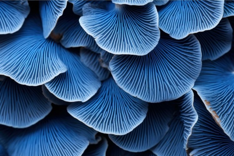 Water Background Image 7