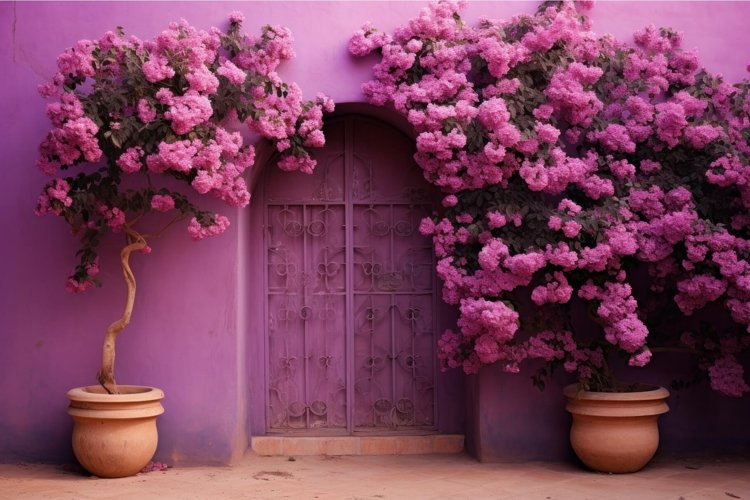 Pink Background Image 11