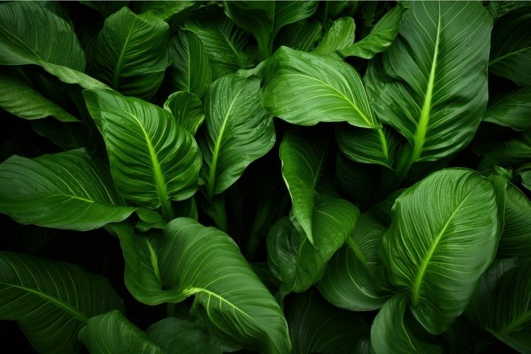 Green Grass Clipart Image 7